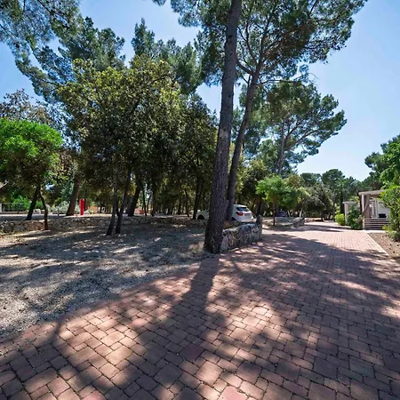 Marino Mobile Home, Camp Soline * Biograd Na Moru
