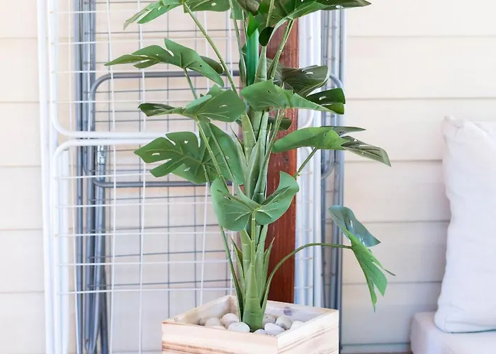 Marino Mobile Home, Camp Soline Kamp *